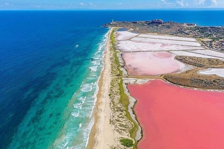 Rio Lagartos and Las Coloradas - Safari Natural Experience 4 hours