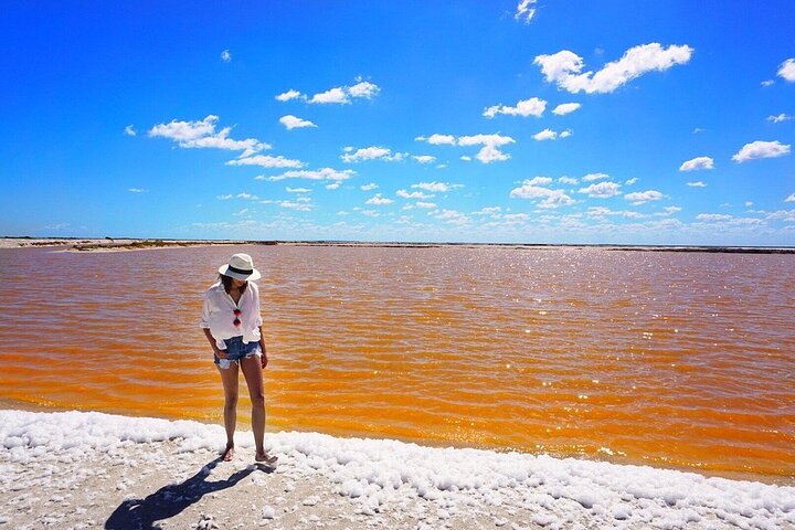 River Lizards and Las Coloradas - Flamencos and Crocodiles Safari plus