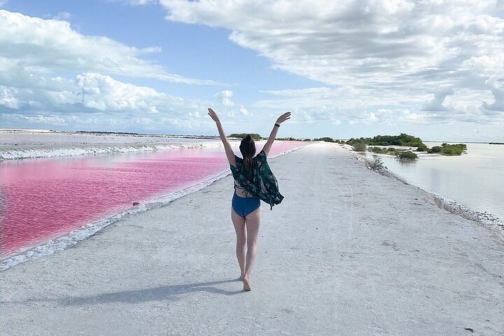 Rio Lagartos and Las Coloradas - Safari Natural Experience 4 hours