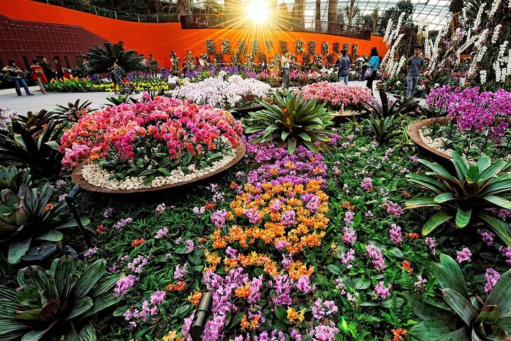 Singapore OCBC Skyway Flower dome Cloud Forest Garden by the Bay