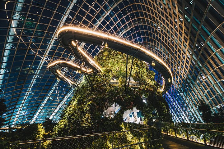 Singapore OCBC Skyway Flower dome Cloud Forest Garden by the Bay