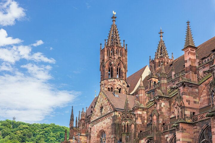 Best Intro to Freiburg in 2 hours with a Local