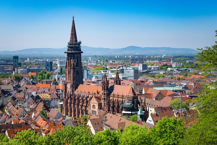 Best Intro to Freiburg in 2 hours with a Local