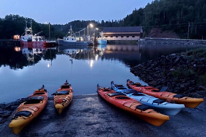 Kayak the Bay of Fundy Sea Caves