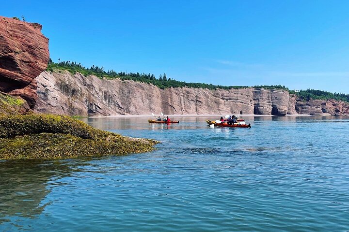 Kayak the Bay of Fundy Sea Caves