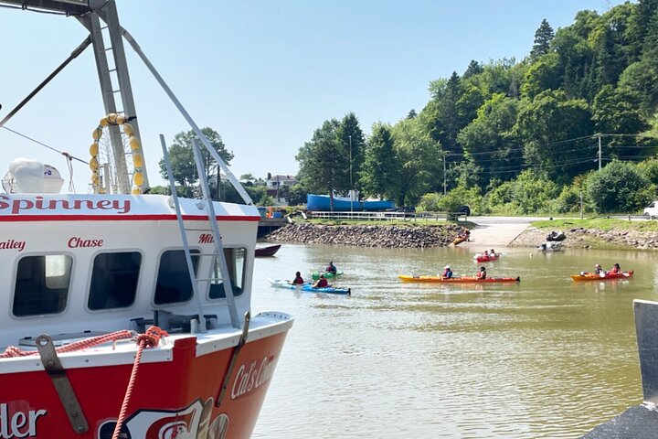 Kayak the Bay of Fundy Sea Caves