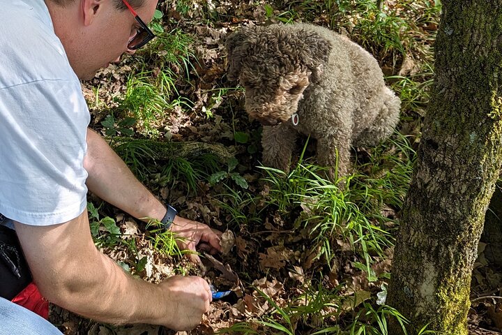 Truffle Hunting & Lunch halfway from Parma to Cinque Terre