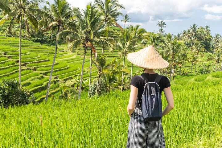 Ubud Private Tour: Waterfalls, Temple and Rice Terraces Swing