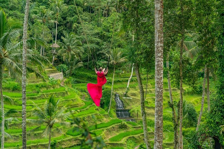 Ubud Private Tour: Waterfalls, Temple and Rice Terraces Swing