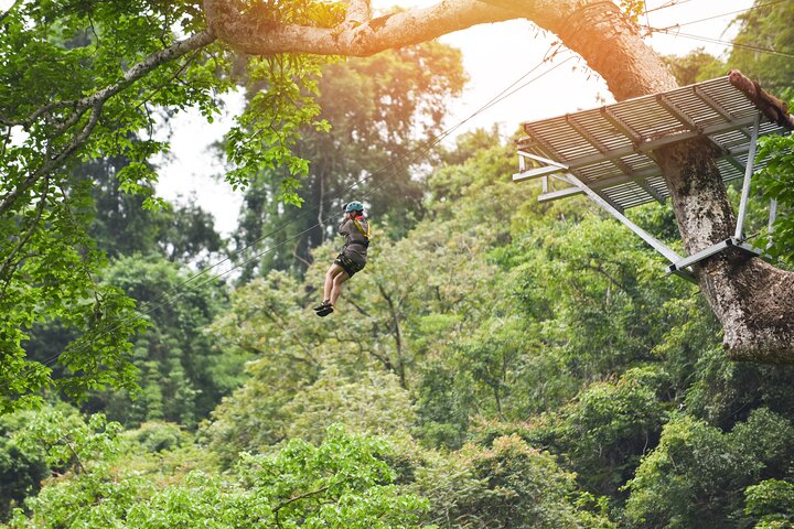 Discover The Best of Ubud: All-Inclusive and Private Guided Tour