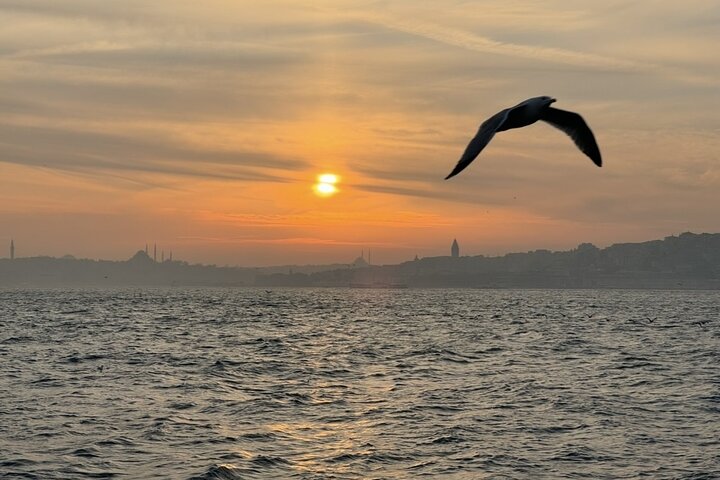 Enjoy Istanbul’s Bosphorus:2-Hour Daytime, Sunset & Night Cruises
