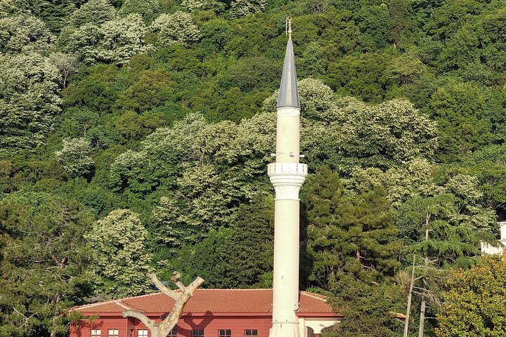 Enjoy Istanbul’s Bosphorus:2-Hour Daytime, Sunset & Night Cruises