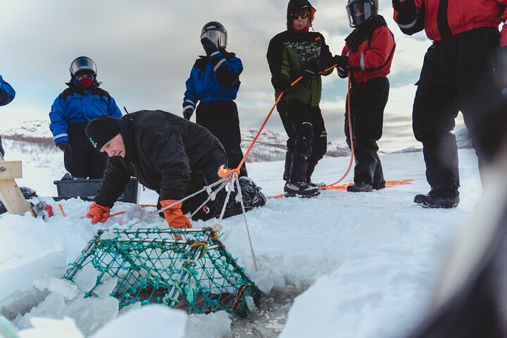 King Crab Safari and visit a Snowhotel from Saariselkä