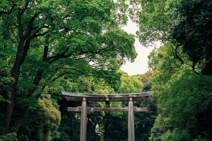Private Custom Tokyo Tour VIP