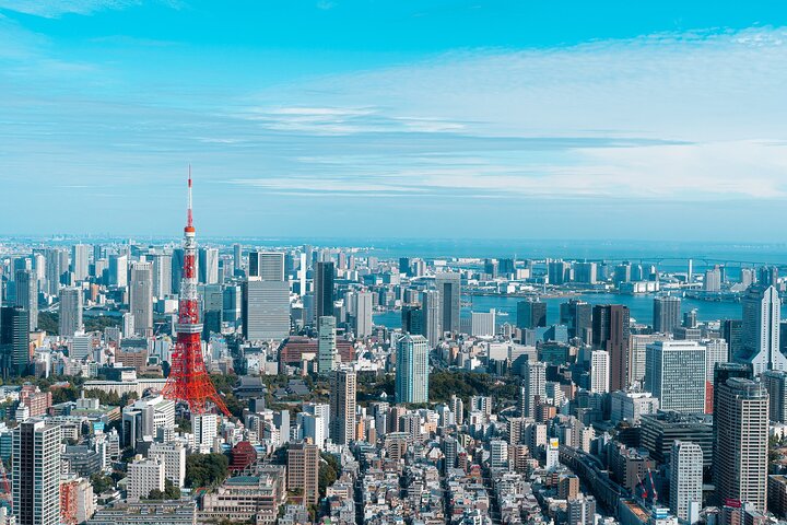 Private Custom Tokyo Tour VIP
