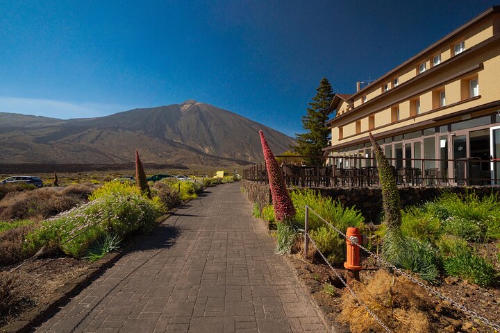 Tenerife Wonder Walk