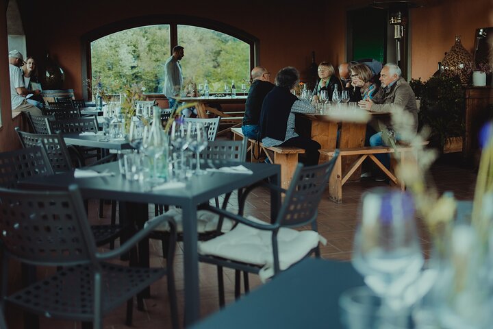 Lucca: Wine Tasting Experience - Tenuta Adamo Winery