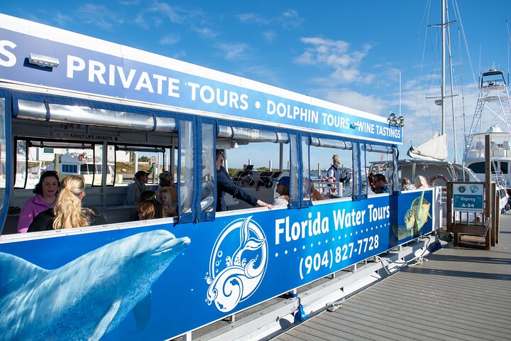 Dolphin and Wildlife Adventure of St. Augustine