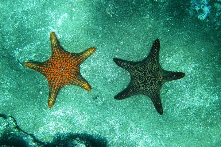 Day Tour to Bartolomé Island and Sullivan Bay