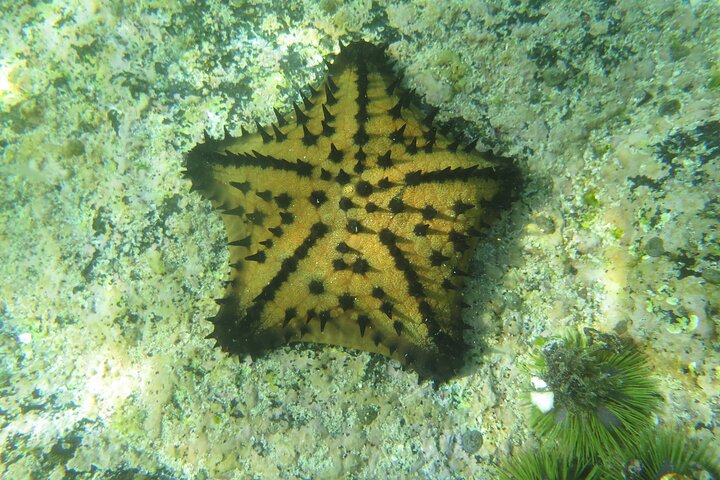 Day Tour to Bartolomé Island and Sullivan Bay