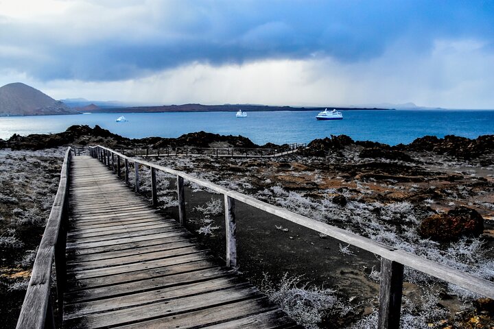 Day Tour to Bartolomé Island and Sullivan Bay