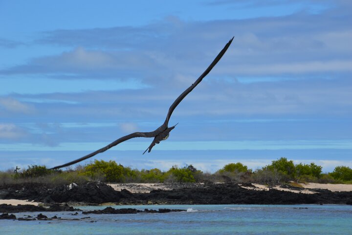 North Seymour and Bachas or Mosquera Beach Yacht Day Tour