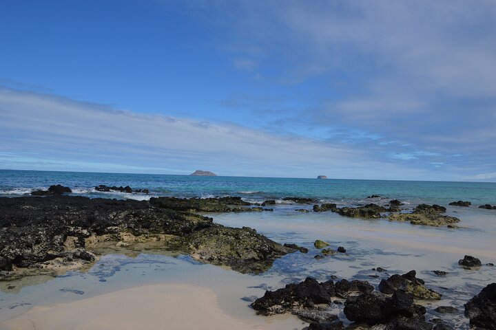 North Seymour and Bachas or Mosquera Beach Yacht Day Tour