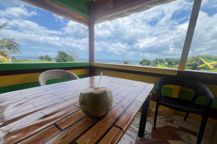 ATV Jungle Ride, Zipline and Ricks Cafe from Montego Bay