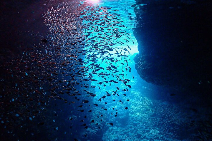 [Okinawa Blue Cave] Snorkeling with Private Guide+ Free Photos