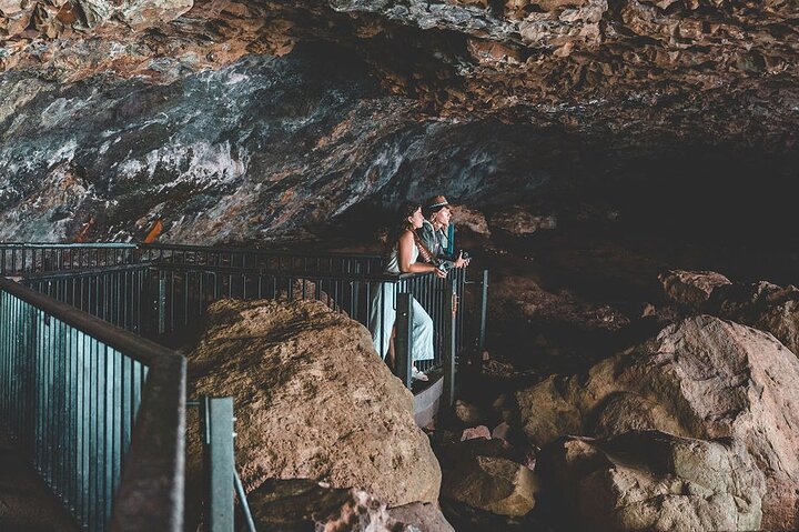 Springbrook andTamborine Rainforest Tour Incl Natural Bridge and Glow Worm Cave