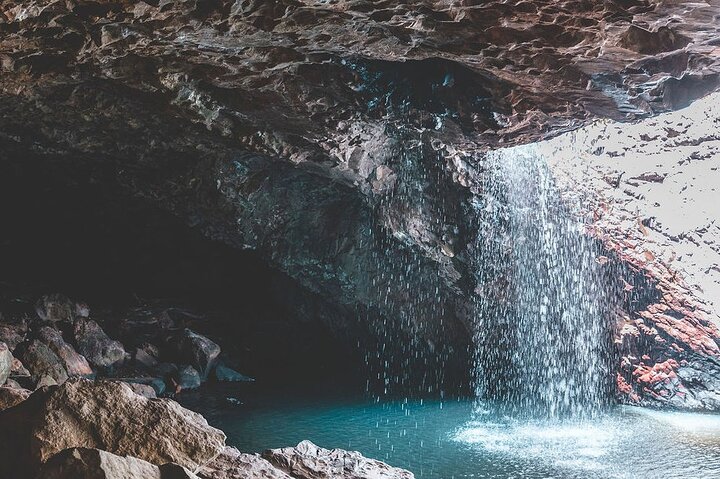 Springbrook andTamborine Rainforest Tour Incl Natural Bridge and Glow Worm Cave