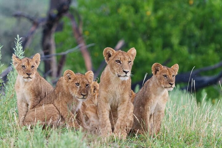 3 Day Private Trekking and Transfer to National Park
