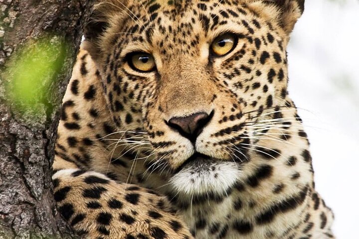 3 Day Private Trekking and Transfer to National Park