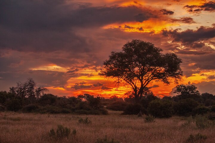 Hluhluwe-iMfolozi Park - Exclusive Full Day Safari