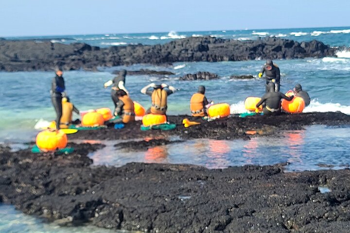 Full Day 12 hours whole Jeju Island private flexible tour
