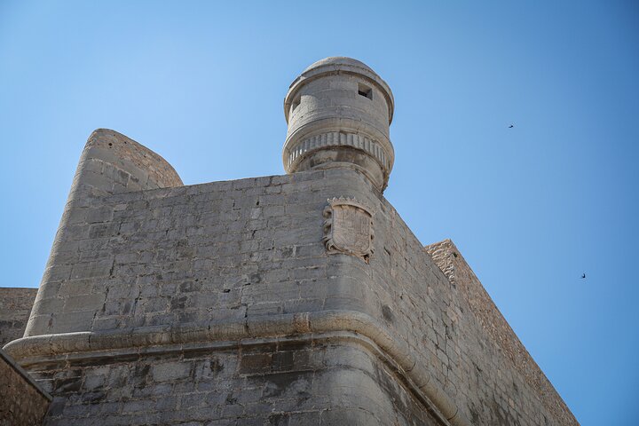 From Valencia: Day Tour in Peniscola, Game of Thrones