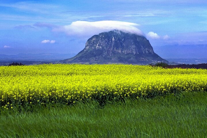 Full Day 12 hours whole Jeju Island private flexible tour