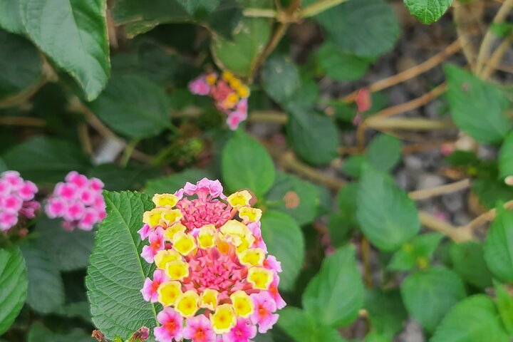 Full Day 12 hours whole Jeju Island private flexible tour