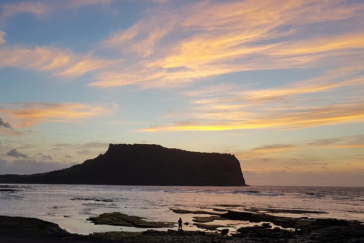 Full Day 12 hours whole Jeju Island private flexible tour