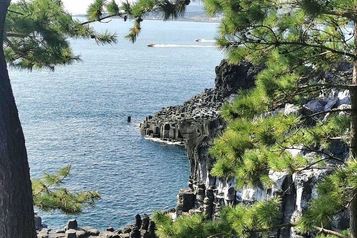 Full Day 12 hours whole Jeju Island private flexible tour
