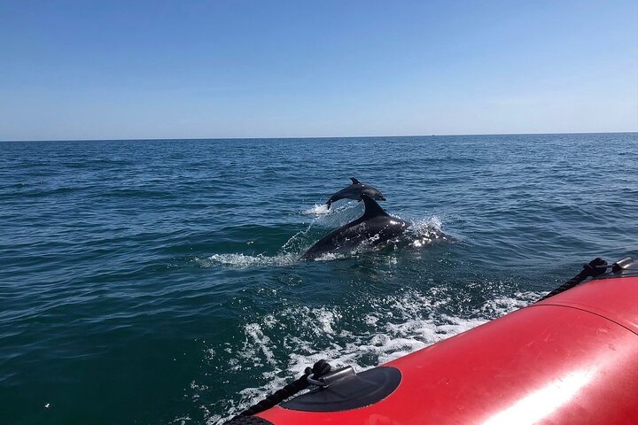 90 Minute Coastal Explorer in Torquay