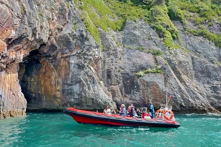 90 Minute Coastal Explorer in Torquay