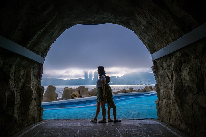 Busan Tour: Sky Capsule, Gamcheon, Haeundae Blueline Park & more