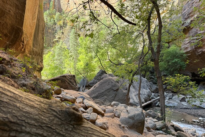 Zion Narrows: Private Guided Hike + Picnic (Gear Included)
