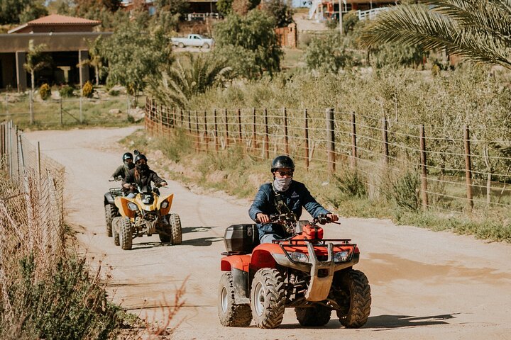 Off Road Tour Experience plus Winery visit in Baja