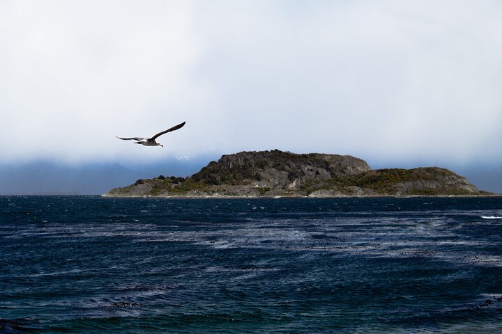 Tierra Del Fuego National Park and Fin del Mundo Train (INCLUDED)