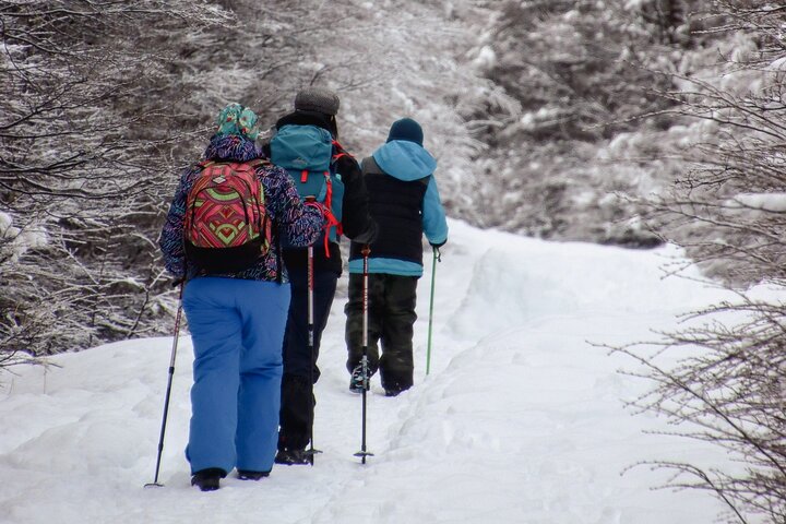 Trekking Tour Laguna Esmeralda and Fuegian Valleys