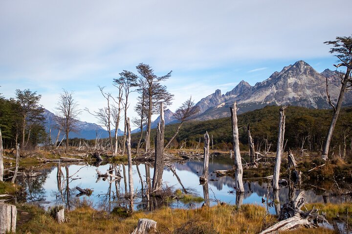Trekking Tour Laguna Esmeralda and Fuegian Valleys
