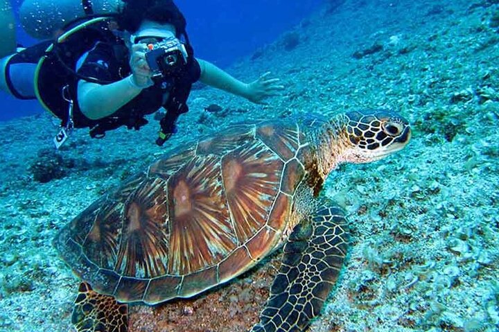 8 Day Galapagos Island Hopping For Divers