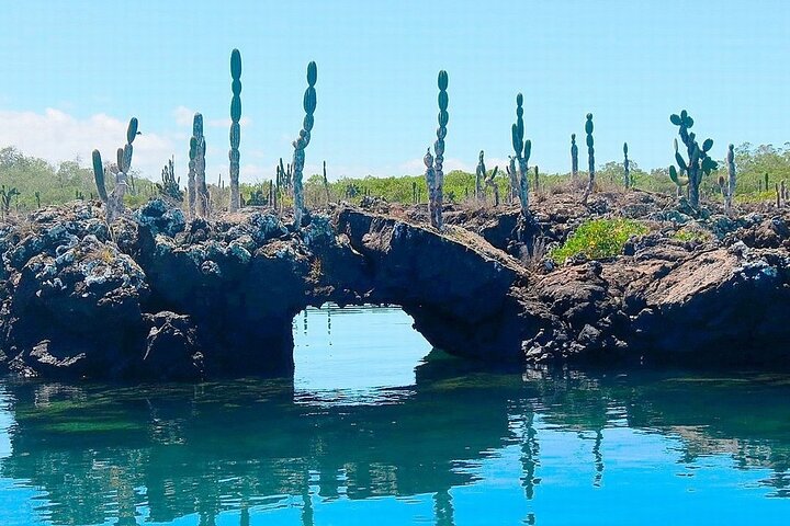6 Days Galapagos Island Hopping With Diving